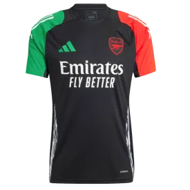 Adidas Arsenal Euro Training Jersey