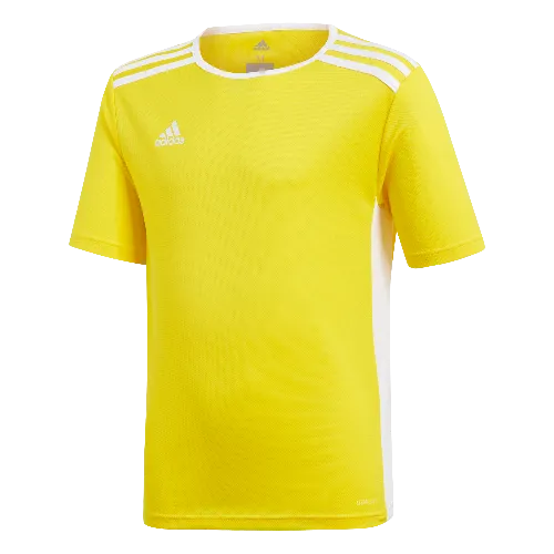 Adidas Entrada 18 Youth Jersey